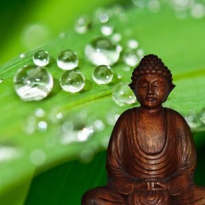 3-pack Colon Hydrotherapy Sessions